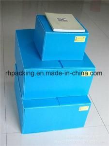 Twinwall PP Box, Plastic Carton, Coroplast Box Manufacturer/PP Fruit Box/Folding Box