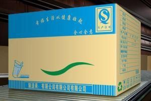 High Strength Custom Full Colour Corrugated Paper Shipping Packaging Carton Box