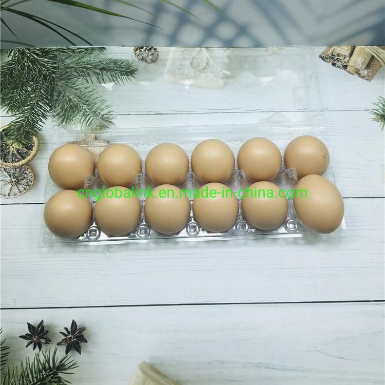 Disposable Plastic Egg Tray 3/7 Holes Egg Packaging
