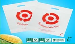 Top Quality Earth-Friendly Biodegradable Bag and Compostable Bag