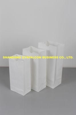 OEM Service Biodegradable Colorful/White Kraft Paper Bag