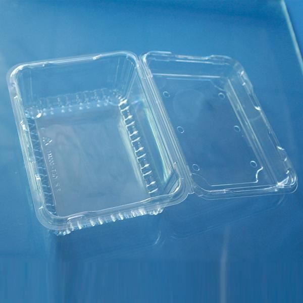 500G Hinged Container PLA blister packaging hinged clear biodegradable plastic clamshell container