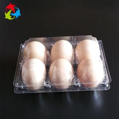 Transparent Plastic Chicken Egg Packaging Manufacturer