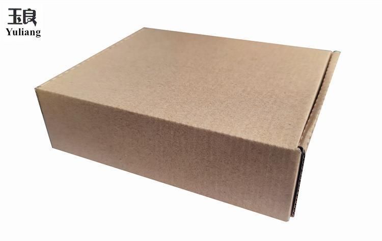 Customized Strong Corrugated Paper Packaging Carton Box