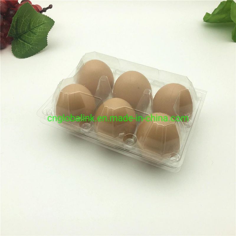 Disposable Plastic Egg Tray 3/7 Holes Egg Packaging