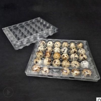 Factory Price Clear Disposable 30 Cells Plastic Quail Egg Tray