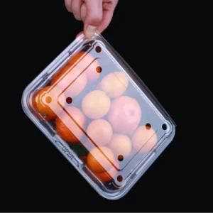 Plastic Fruit Packaging Container