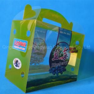 New Style Transparent Printing Pet Folding Plastic Food/Fruit Packaging Box