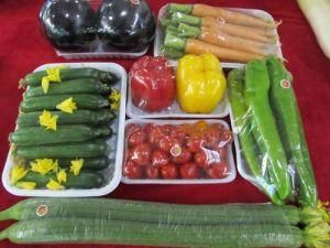 Retail Packing Holder Food Fruits Vegetables China Factory Plastic Tray
