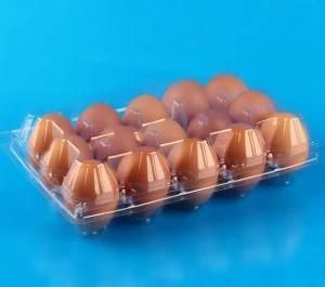 10 Eggs Holder Plastic Packaging 15 Egg Crate Box