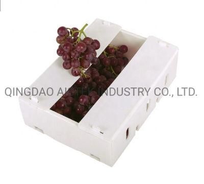 PP Corrugated Plastic Coroplast Fruit Vegetable Harvest Box