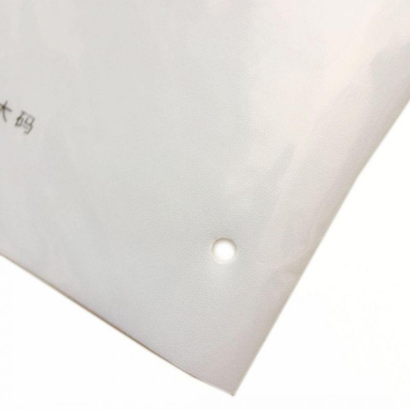 Packaging Bags with Zipper for Clothing Ziplock Bags Poly Bags OEM