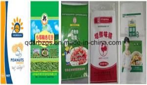 China Made PP Woven Bag for Foodstuff