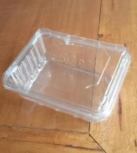 Plastic Packaging Food or Vegetable Fruits Container Made in China Pet Box