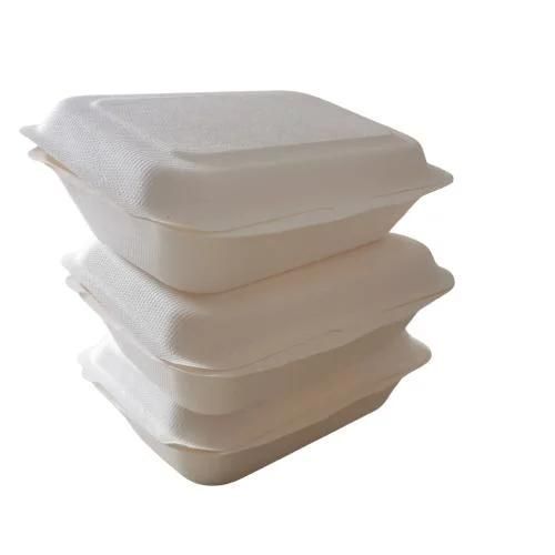 Custom Logo Greaseproof Foldable Sugarcane Bagasse Pulp Packaging Box Wholesale