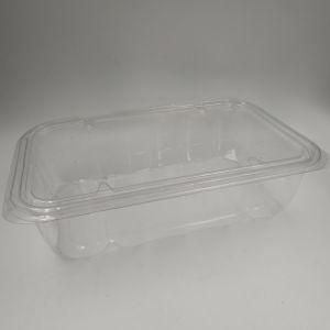 Transparent Plastic Storage Clamshell.