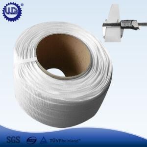 50mm Cargo Lashing Belt From Dongguan Factory