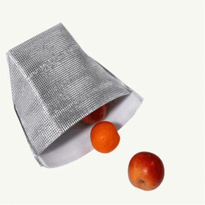 Aluminum Foil EPE Disposable Takeaway Pizza Fruit Fresh Insulation Bag