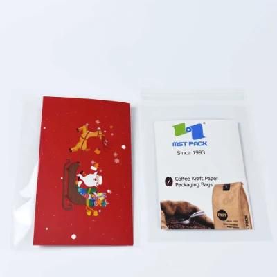 Custom Size PLA Compostable Flat Pouch Clear Calendar Packaging Bag