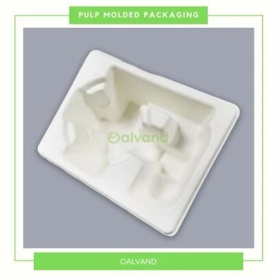 Customized Plastic Free Sugarcane Bagasse Pulp Molded Packaging for Lamps