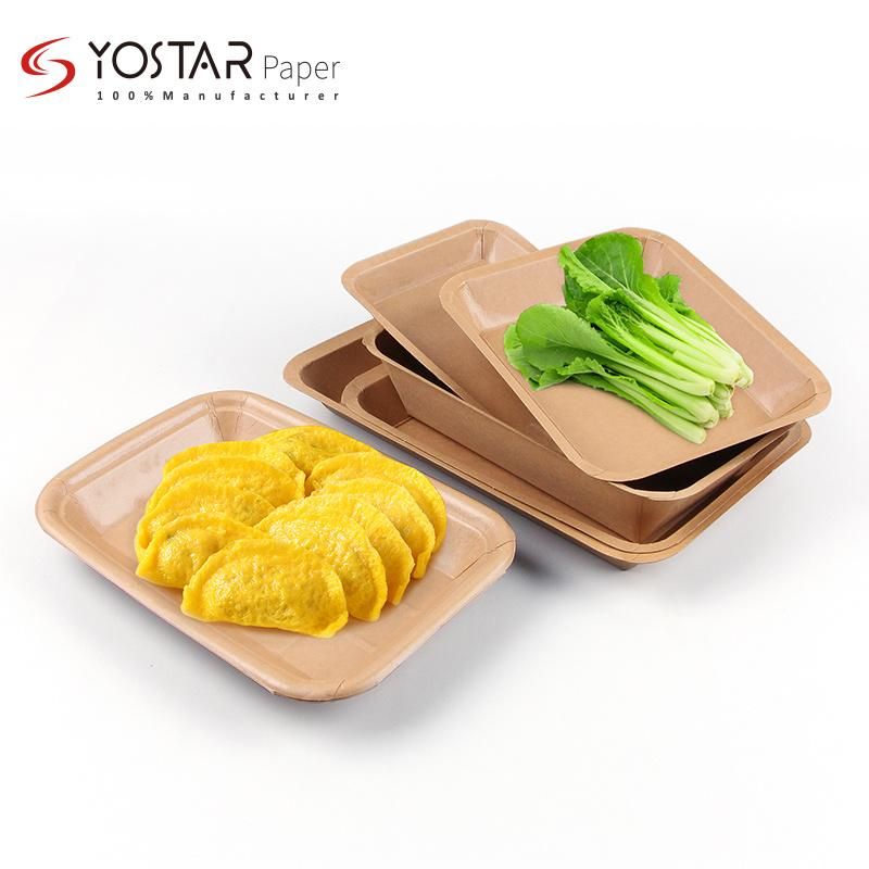 Custom Biodegradable Disposable Food Server Plate Platter Tray