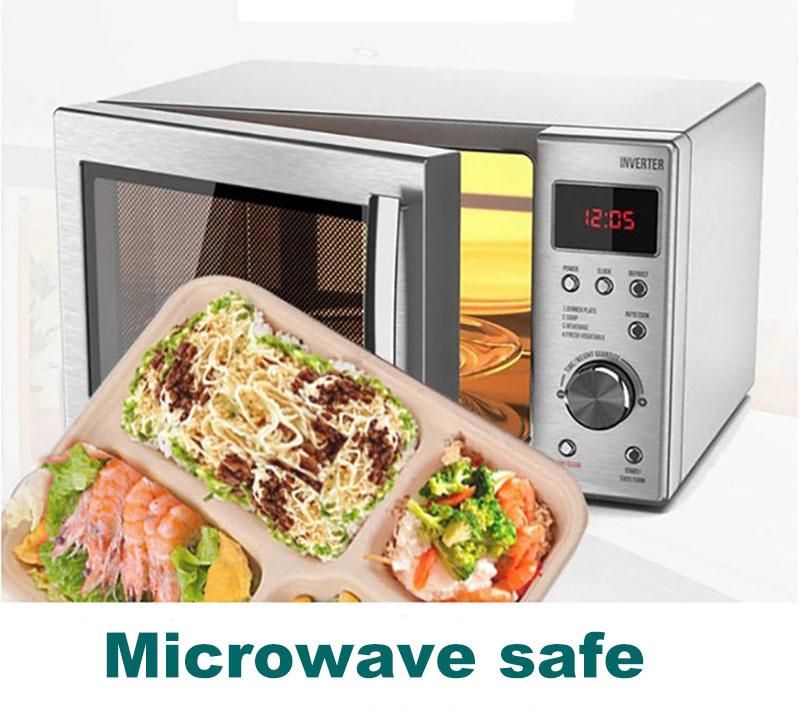 Manufacturing 1300ml Take out Food Containers with Pulp Paper Lid