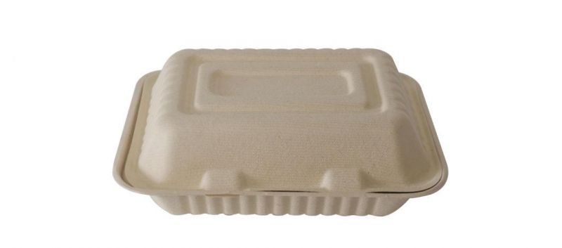 Custom Packaging White Nature Sugarcane Bagasse Lunch Boxes with Lid Food Packaging Box Take Away Food Container