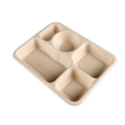 Hot Sale Products Biodegradable Degradable Food Sandwich Storage Container Box