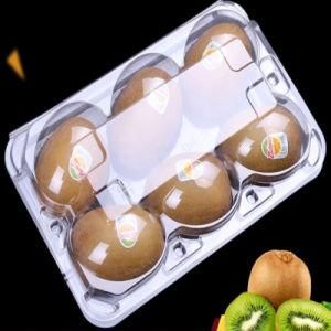 Disposable Plastic Fruit Salad Package Container