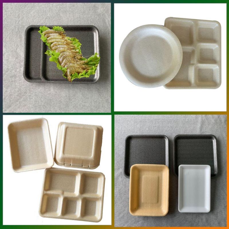 Compostable Biodegradable Foaming PLA Snack-Box