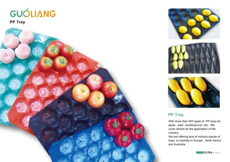 PP Plastic Popular Product Food Packaging Fresh Meat Trays