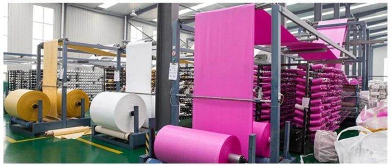 China Manufacturer 50kg Polypropylene PP Woven Bag