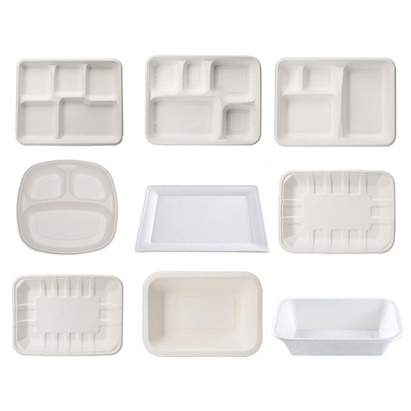 Bagasse Sugarcane Biodegradable Takeaway Disposable Food Container