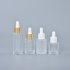 Wholesale Cosmetic Packaging Bottles Essential Oil Bottle Frosted Glass Serum Dropper Bottle 20ml 30ml 50ml 100ml