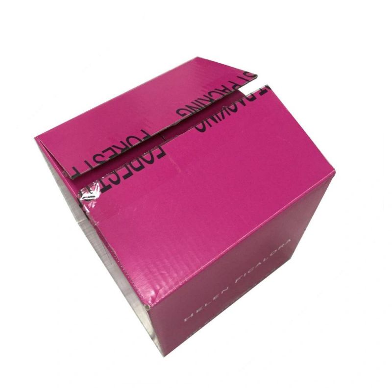Foldable Recyclable Carton Box Packaging for Shipping Master Carton
