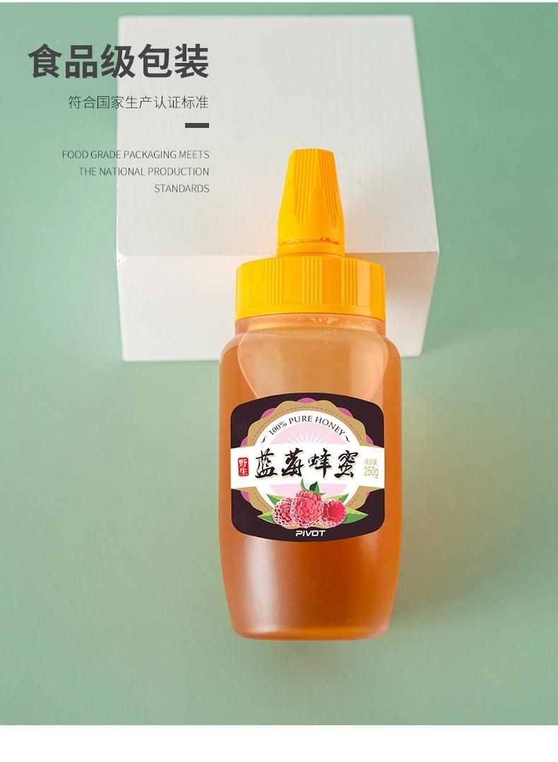 250g 500g 1000g Plastic Honey Syrup Ketchup Jam Hot Fill Beverage Squeeze Bottle