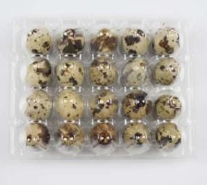 Eco-Friendly High Quality Transparent 20 Cells Clamshell Plastic Quail Egg Tray/Egg Packaging