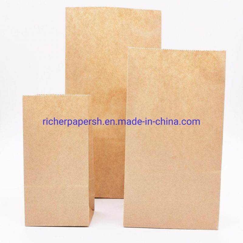 Kraft Paper Bag