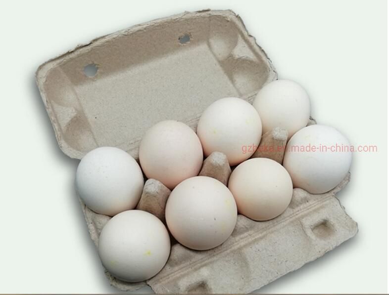 Custom Logo Eco Friendly Bagasse Paper Bamboo Pulp Molding Packing 8 Holes Egg Tray for Protection