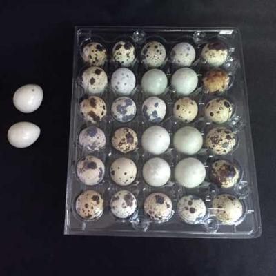 Transparent Blister Plastic Pet Quail Egg Packaging Tray