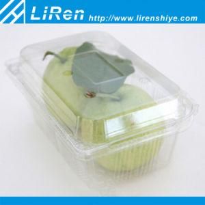 Transparent Folding Clamshell Fruit Plastic Container with Lid and Holes for Supermarket