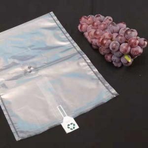 Pressure-Proof Fruit Protection Bag