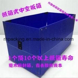 Polypropylene Packing Box with Printing Instead of Carton Box with Magic Tape Sealing