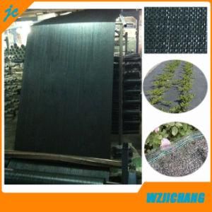 Black PP Woven Cloth for Farm