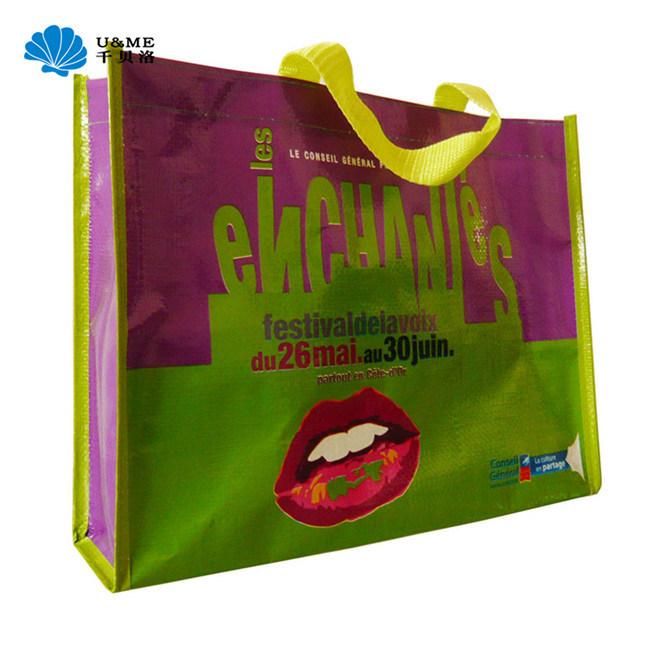 Matt Eco-Friendly Laminated Plastic PP Woven Shopping Bag