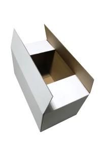 White Corrugated Packing Shipping Box