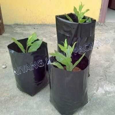 Premium Quality Plastic Poly Seedling Bag Plant Nursery Bag