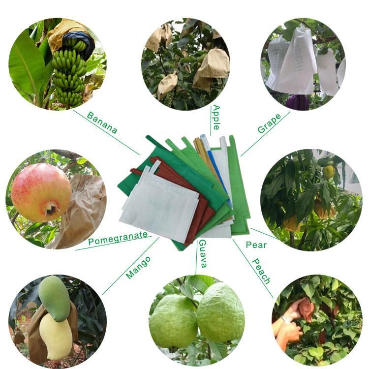 China Manufacturer Fruit Pomegranate Protection Bag/ Grape Paper Protection Bag/Mango Fruit Protection Bag
