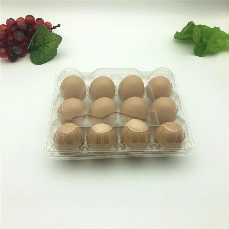 Pet Disposable Plastic Egg Tray Packaging